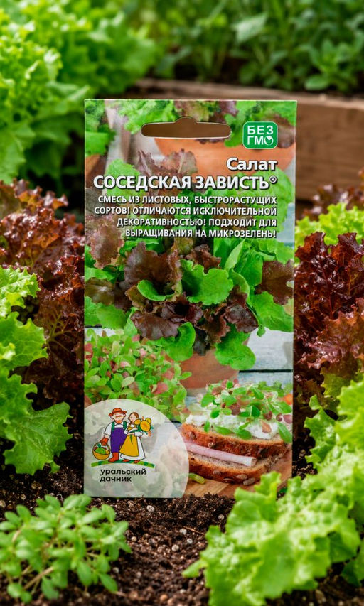 Салат СОСЕДСКАЯ ЗАВИСТЬ - Уральский дачник фото 2