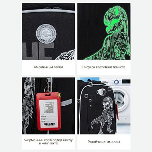 RAf-493-2 Рюкзак школьный - Grizzly фото 37