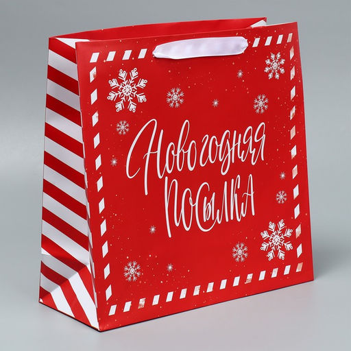 Набор пакетов ламинированных «Снежного Нового года»