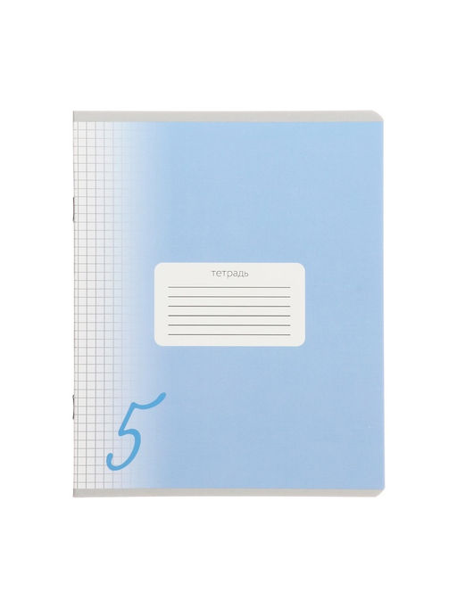 Комплект тетрадей из 10 штук, 24 листа в клетку Calligrata "Пятёрка", обложка мелованный картон, ВД-лак, блок офсет, 5 видов по 2 штуки
