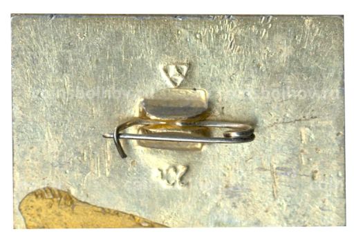 Значок Владимир