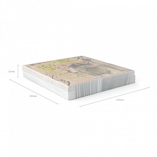 Цена за 5 шт. Тетрадь общая ученическая ErichKrause Russian Folk, Физика, 48 листов, клетка, крафт-картон  фото 6