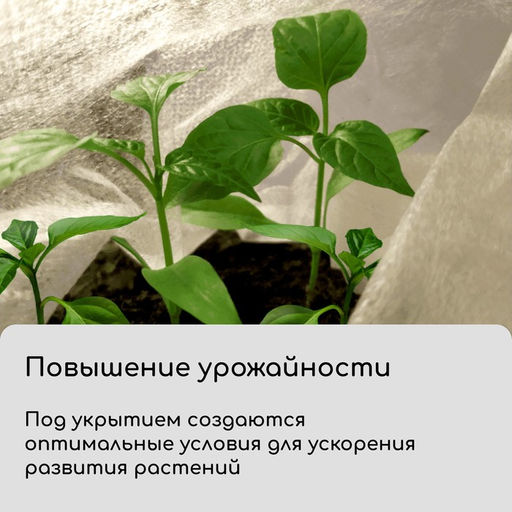 Материал укрывной, 5×1.6 м, плотность 60 г/м², спанбонд с УФ-стабилизатором, белый, Greengo, Эконом 30%