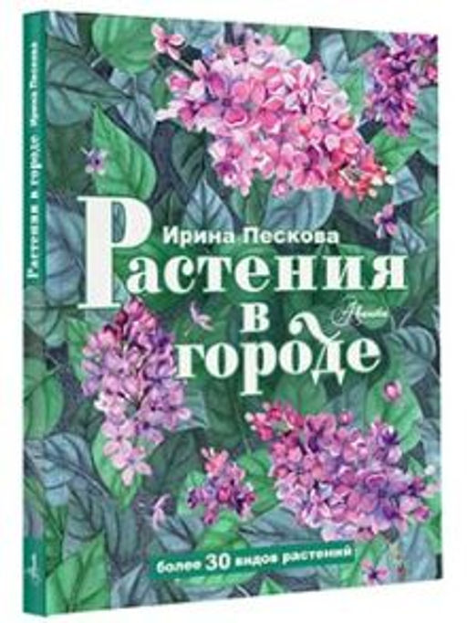 Растения в городе