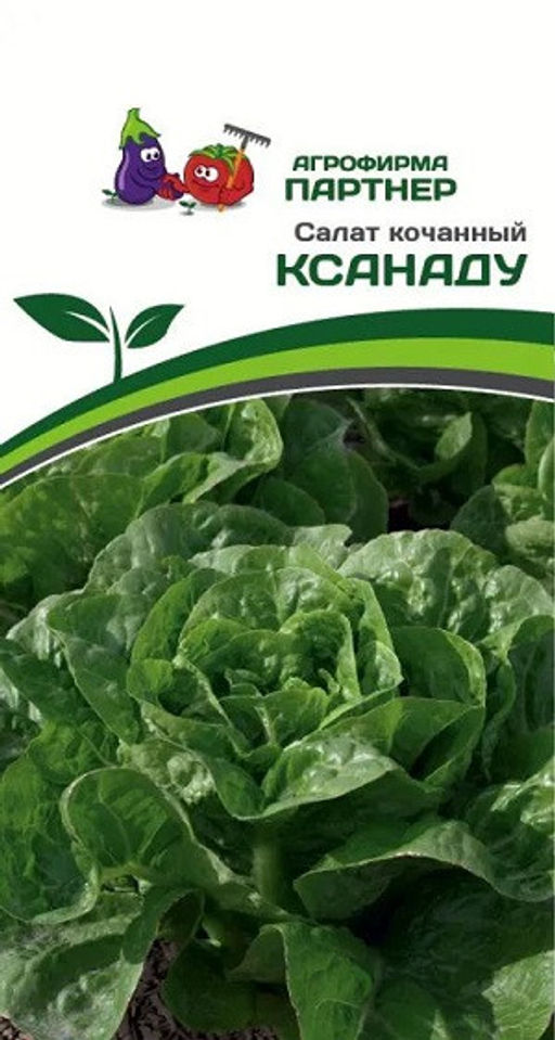 3153P Салат кочанный КСАНАДУ 15шт