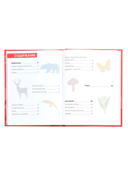 Детская энциклопедия «Красная книга», 48 стр. 7+