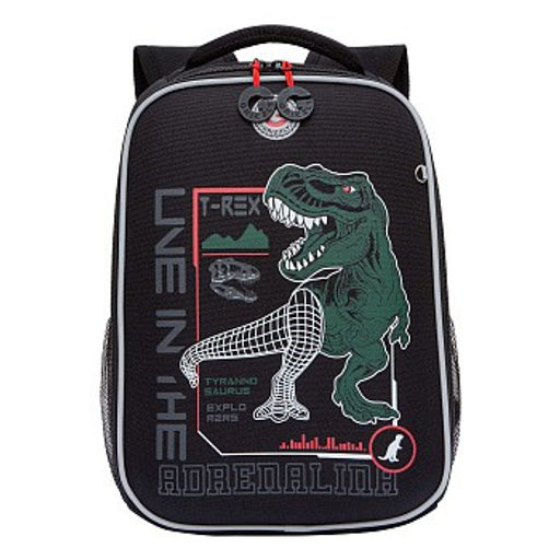 RAw-497-10 Рюкзак школьный - Grizzly фото 7