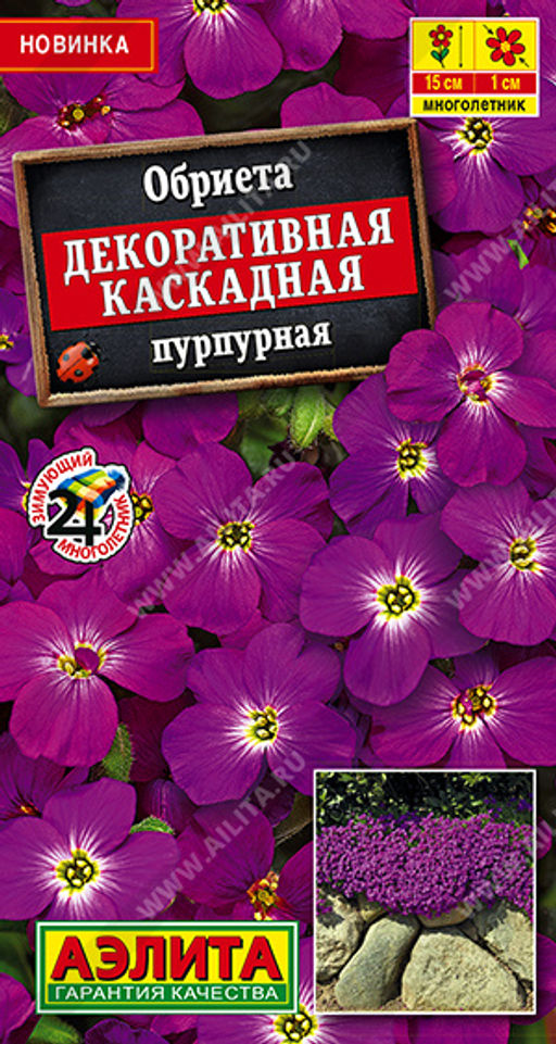 Обриета Декоративная каскадная пурпурная