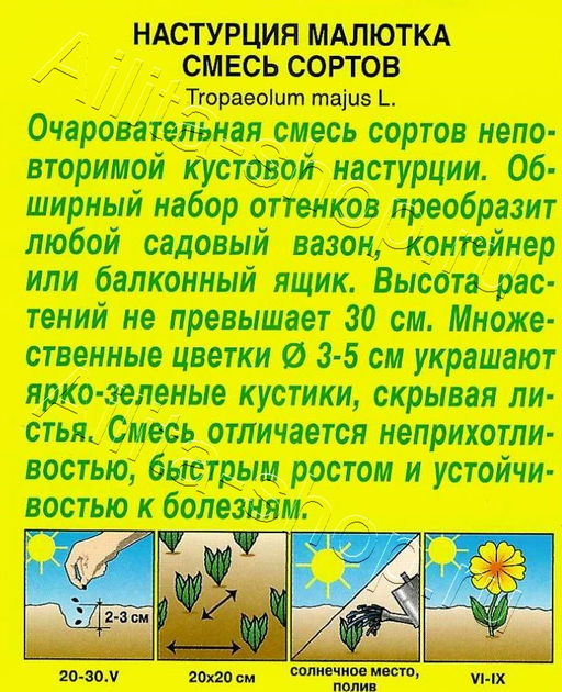 Настурция Малютка, смесь сортов 1г (Аэлита)