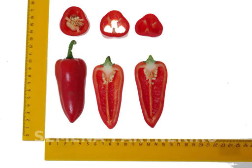 Перец сладкий Фьюджи - Партнер фото 7