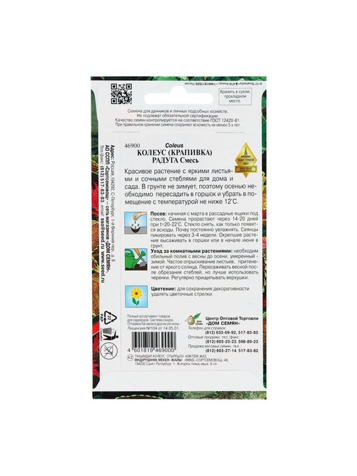 Цена за 2 шт. Семена комнатных цветов Колеус "Блюма Радуга", 130 шт.