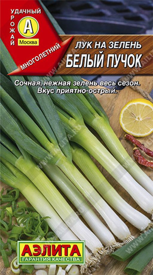 Лук батун Белый пучок