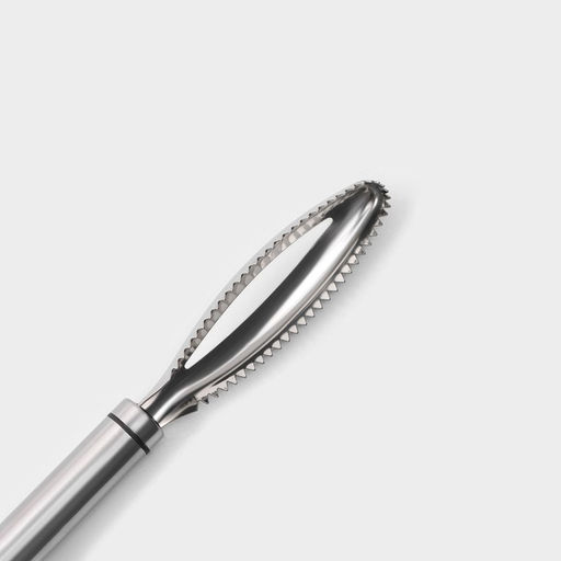 Рыбочистка Magistro Solid, нержавеющая сталь, хромированная