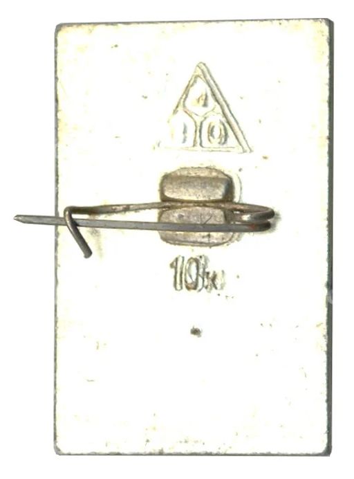 Значок Боголюбово