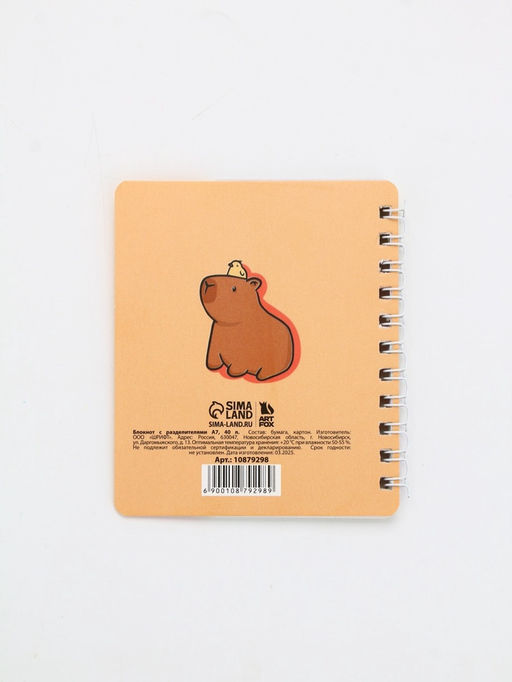 Блокнот с разделителями А7, 40 л "Капибара"