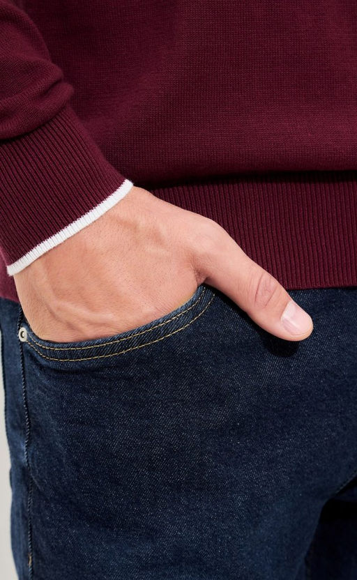 Джемпер мужской в полоску с воротником-стойкой на молнии F221-15-831 сине-бордовый - Fine joyce фото 9
