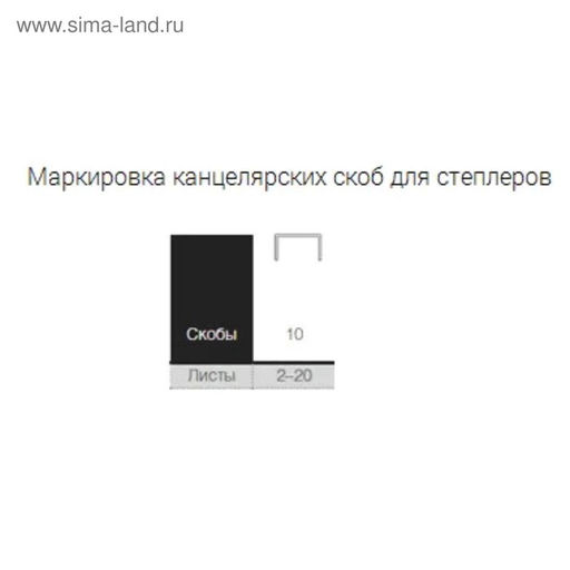 Набор из 10 штук, скобы №10, CALLIGRATA (1000 шт) - Simaland фото 6