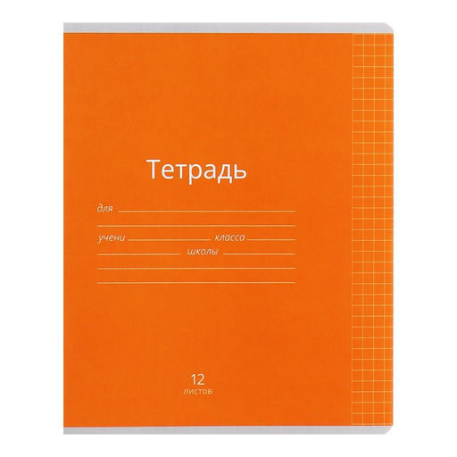 Комплект тетрадей из 10 штук, 12 листов в клетку Calligrata Однотонная Классика яркая, обложка мелованная бумага, ВД-лак, блок офсет  фото 4