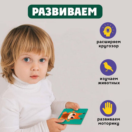 Развивающий набор «Животные леса», тактильные карточки