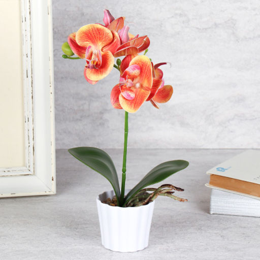 Цветочная композиция Орхидея 30 см / LM-790 /уп 96/ - Галеонтрейд фото 6