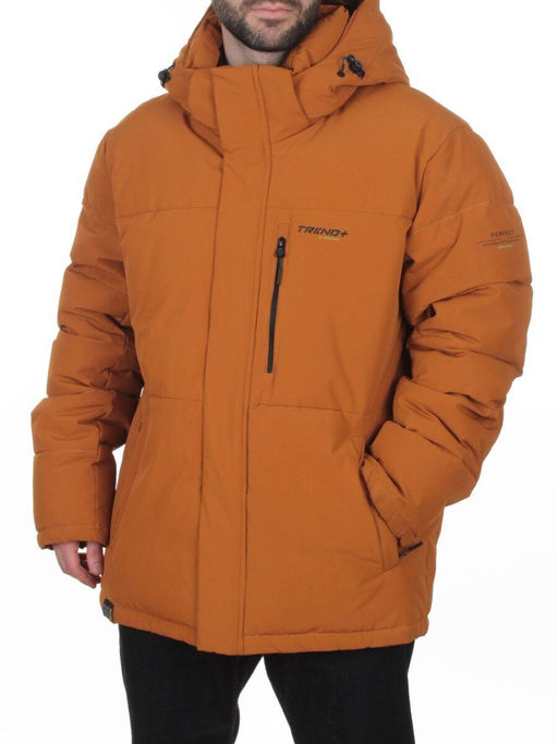 D6904L SAND Куртка мужская зимняя (200 гр. холлофайбер)