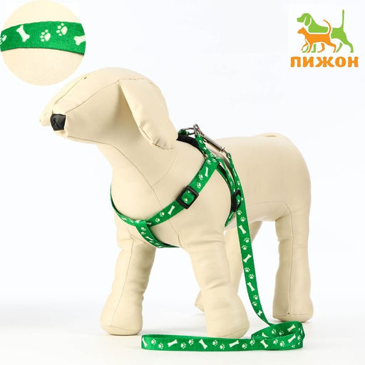 Комплект капроновый Косточки и лапки, поводок 120 х 1,5 см, ОГ 30-44 см, зелёный