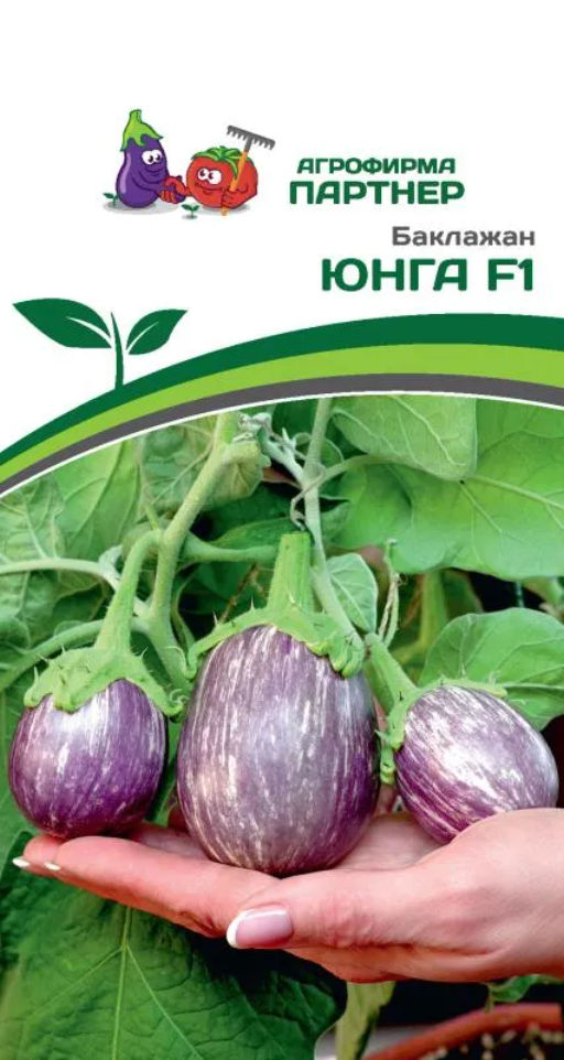 Баклажан Юнга