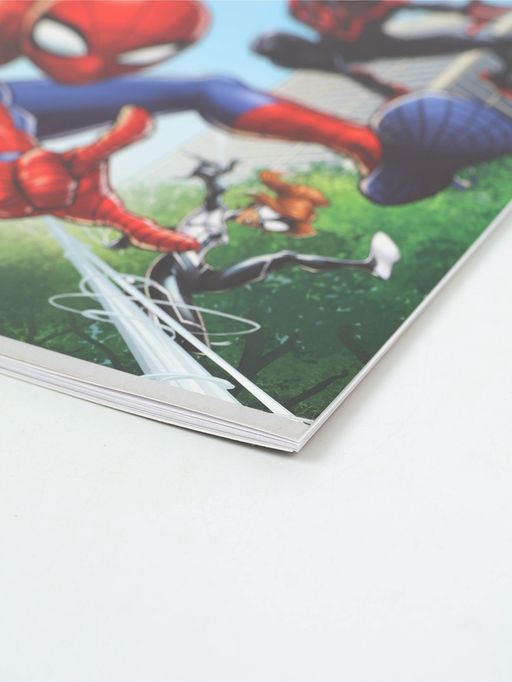 Цена за 4 шт. Альбом для рисования А4, 12 л «Паутина»,