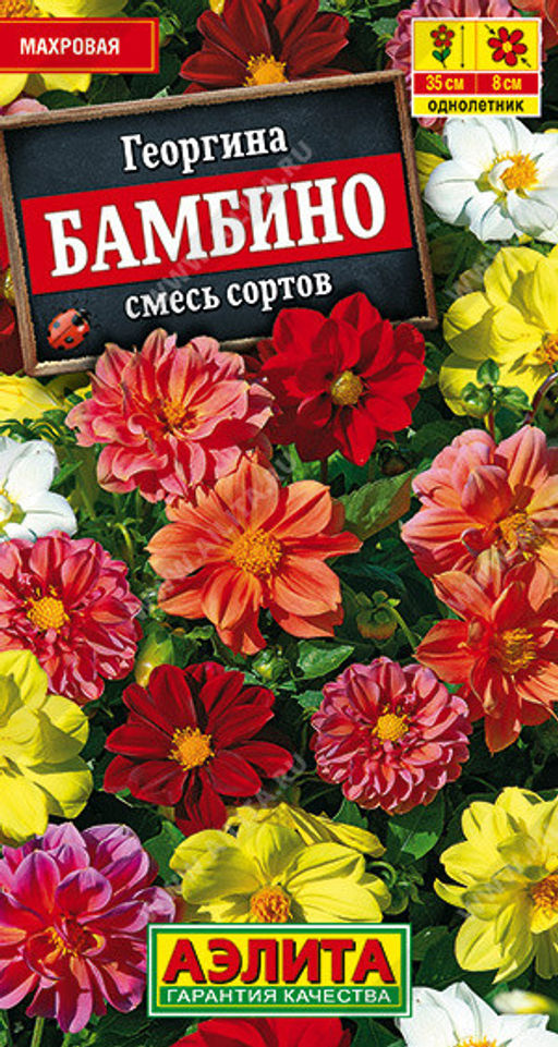 1389A Георгина махровая Бамбино, смесь сортов 7шт