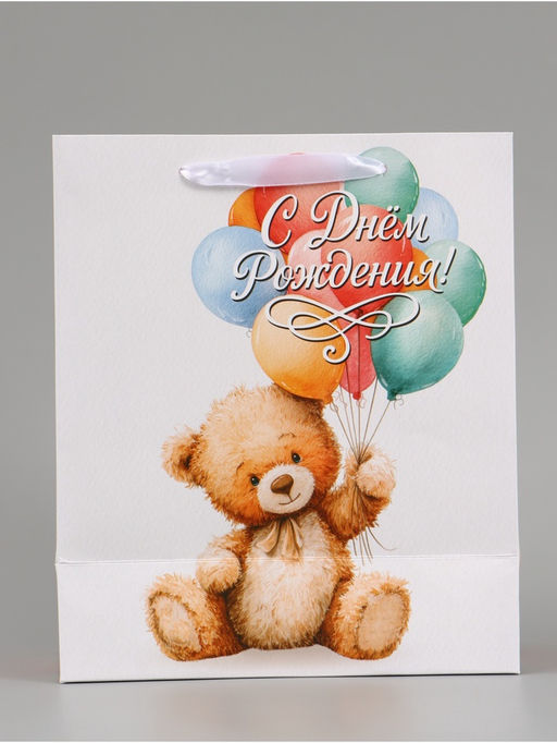 Цена за 2 шт. Пакет подарочный «С Днём рождения. Мишка», 23×27×11.5 см