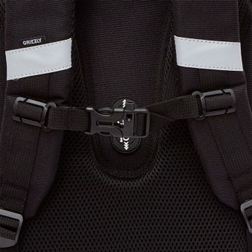 RAz-587-13 Рюкзак школьный - Grizzly фото 28