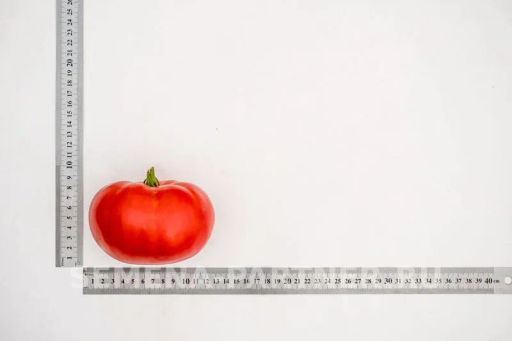 Томат Деревенский - Партнер фото 5