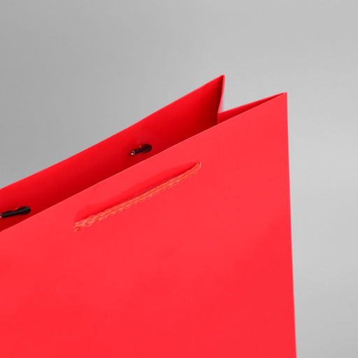 Пакет ламинированный Red, M 24 х 29 х 9 см - Доступные радости фото 7