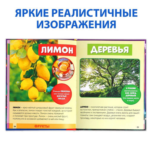 Фотоэнциклопедия для детей Мир вокруг нас, 48 стр. - Буква-ленд фото 4