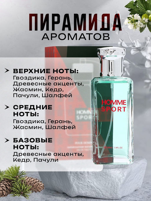 Туалетная вода мужская Homme Sport, 100 мл
