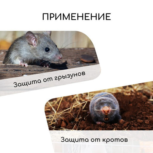 Сетка оцинкованная, сварная, 10×1 м, ячейка 12.5×12.5 мм, d=0.6 мм, Greengo