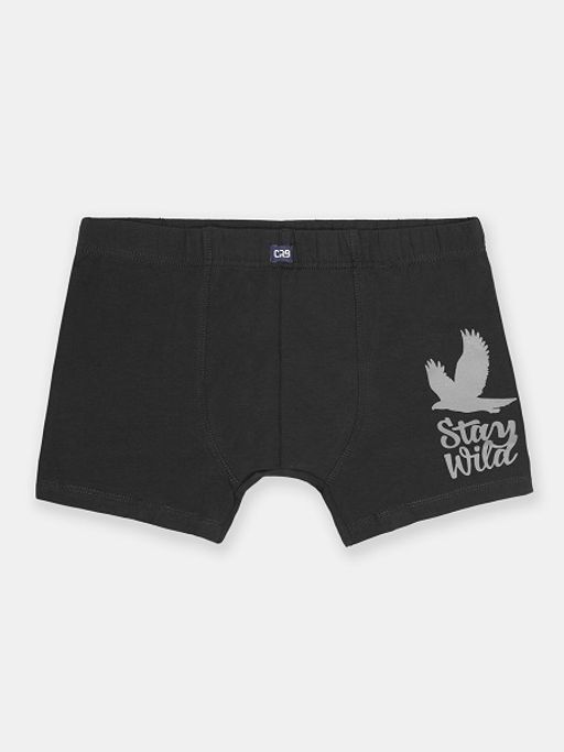 CRB wear/FWXM 10046-48 Трусы-боксеры мужские,темно-серый/Ex.Cherubino