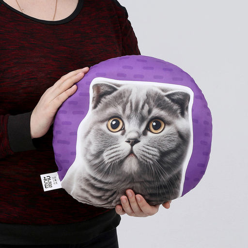 Подушка Британец - Mni mnu фото 5