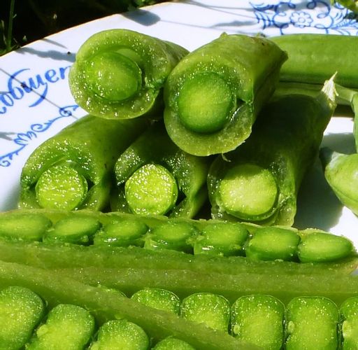Снеп Горох — Snap Peas