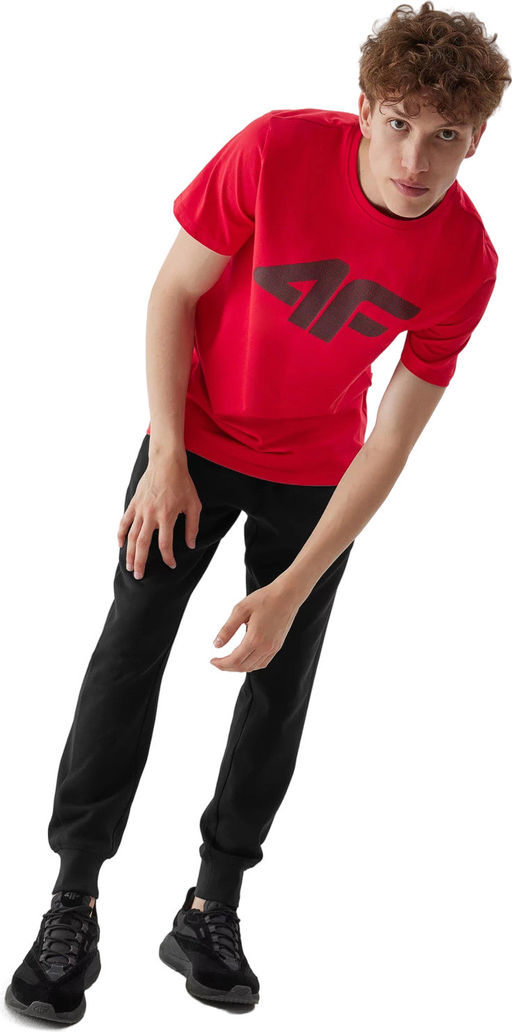 Футболка мужская