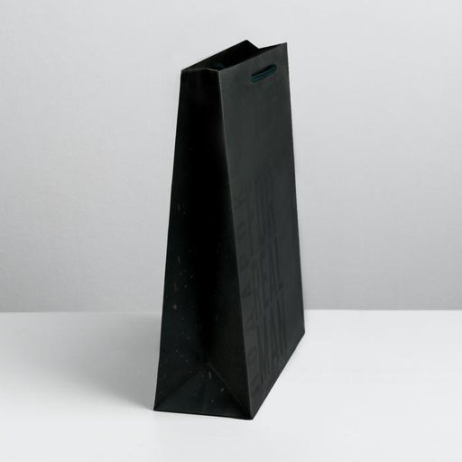 Цена за 2 шт. Пакет подарочный ламинированный, упаковка, «Мужская воля», M 25.5 х 30 х 9 см