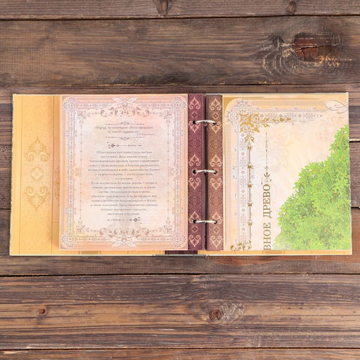 Родословная книга с рамкой под фото «Семейная», 21.5×23.7 см.
