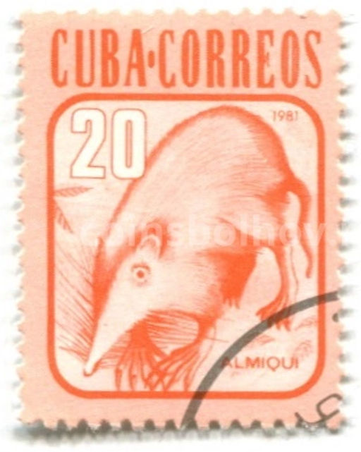 Марка Кубинский соленодон 1981 год Бразилия