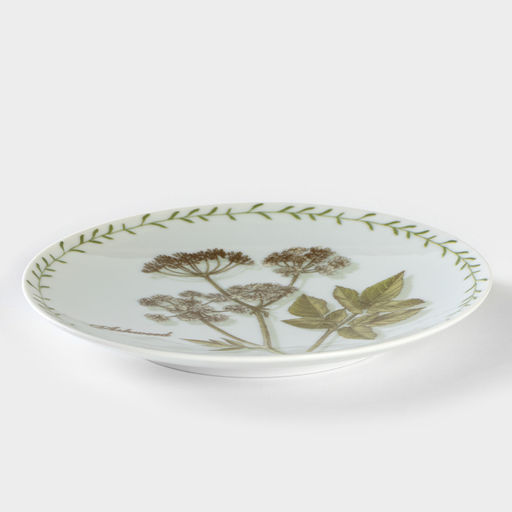 Тарелка фарфоровая «Ботаника. Сныть», d=20 см