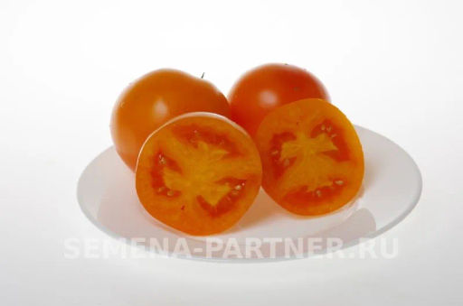 Томат Оранж Биф - Партнер фото 4