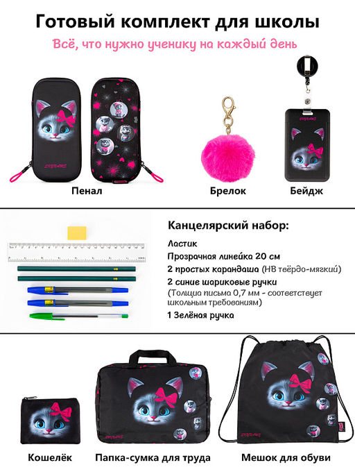 Рюкзак SkyName set-R9-17 + мешок для обуви, папка, пенал, кошелек, бейдж, канц. наб, брелок , значки  фото 15