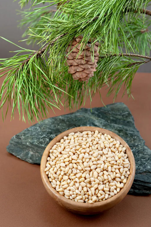 Кедровые орехи очищенные (в коробочке) 100г.