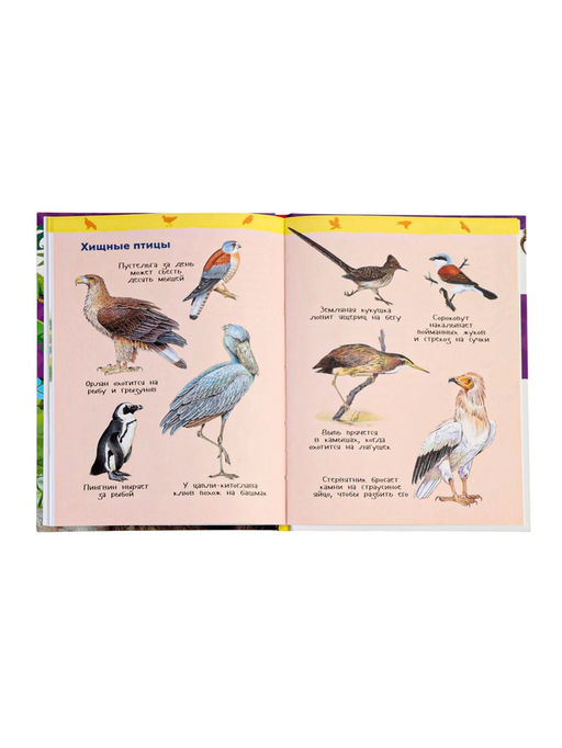 Цена за 2 шт. Детская энциклопедия «Дикие животные», 48 стр.