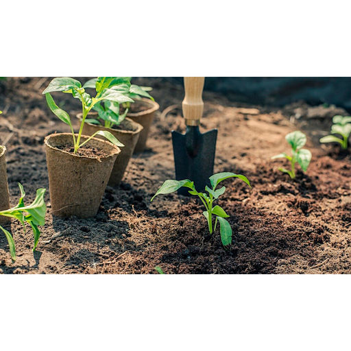 10шт. Горшочек торфяной d60мм h60мм