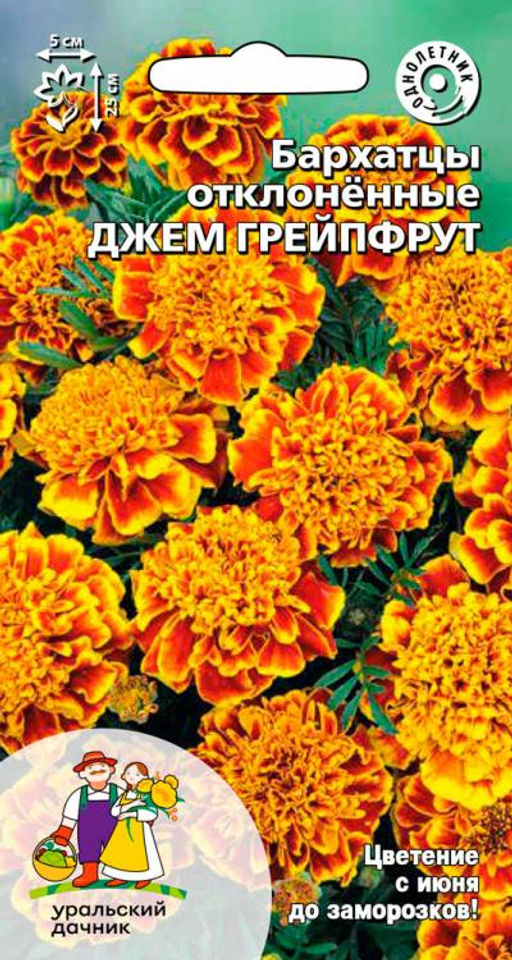 Бархатцы ДЖЕМ ГРЕЙПФРУТ